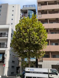 v20250427004617/fresh/building/J00100407181_6