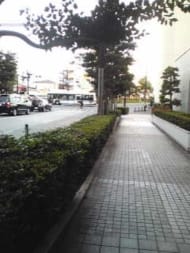 v20250427004617/fresh/building/J00100408210_2