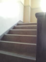 v20250427005210/fresh/building/J00100410618_4