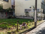 v20250427005210/fresh/building/J00100410677_10