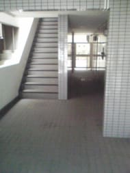 v20250427005210/fresh/building/J00100411724_3
