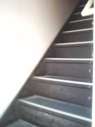 v20250427005210/fresh/building/J00100411808_4