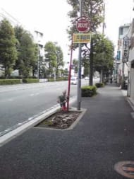 v20250427005210/fresh/building/J00100411850_2