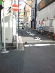 v20250427005210/fresh/building/J00100411868_2