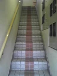 v20250427005511/fresh/building/J00100413260_4