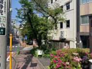 v20250427005511/fresh/building/J00100413553_10