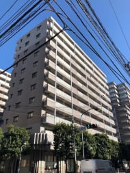 v20250427005511/fresh/building/J00100416523_6
