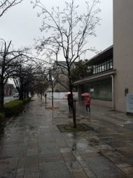 v20250427005511/fresh/building/J00100416807_2