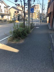 v20250427005511/fresh/building/J00100416932_2