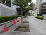 v20250427005820/fresh/building/J00100417351_11
