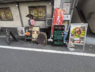 v20250427005820/fresh/building/J00100419053_10
