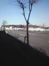 v20250427005820/fresh/building/J00100419820_2