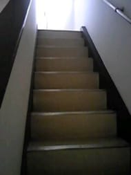 v20250427010205/fresh/building/J00100420924_4