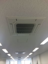 v20250427010205/fresh/building/J00100420952_10