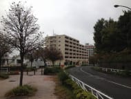 v20250427010205/fresh/building/J00100462726_9