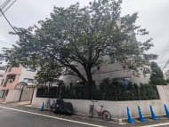 v20250427010206/fresh/building/J00100425414_11