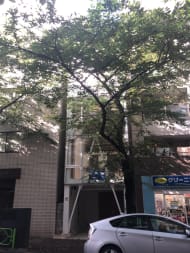 v20250427010206/fresh/building/J00100429608_4