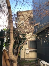 v20250427010506/fresh/building/J00100469234_1