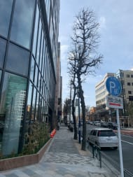 v20250427010816/fresh/building/J00100503613_2