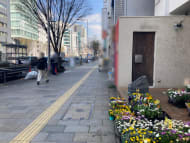 v20250427010816/fresh/building/J00100504697_2