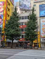 v20250427010817/fresh/building/J00100508206_1