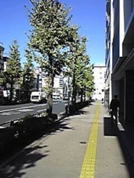 v20250427022212/fresh/building/J00100372349_2