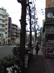 v20250427022807/fresh/building/J00100374877_2