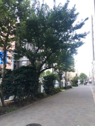 v20250427022807/fresh/building/J00100375401_11