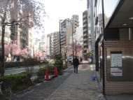 v20250427023127/fresh/building/J00100377651_2