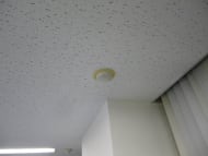 v20250427023809/fresh/building/J00100383139_10