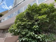 v20250427023809/fresh/building/J00100384339_12