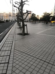 v20250427023809/fresh/building/J00100385144_2
