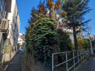 v20250601150545/fresh/building/J00100405323_7