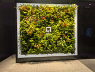 v20250601150545/fresh/building/J00100418544_11