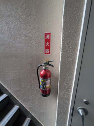 v20250603150701/fresh/building/J00100395195_10