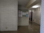 v20250603150701/fresh/building/J00100410534_13