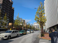 v20250603150701/fresh/building/J00100505868_2