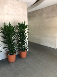 v20250611023000/fresh/building/J00100366750_13