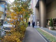 v20250611150815/fresh/building/J00100371198_11