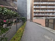 v20250611150815/fresh/building/J00100377257_12