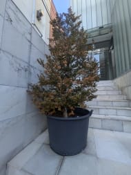 v20250611150815/fresh/building/J00100607966_10