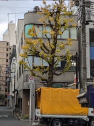 v20250619150700/fresh/building/J00100378723_6