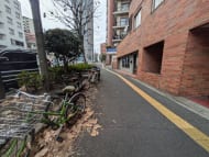 v20250705150602/fresh/building/J00100376202_11