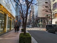 v20250716150801/fresh/building/J00100380585_11