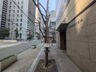 v20250729010429/fresh/building/J00100456908_2