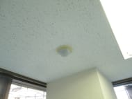 v20250905150805/fresh/building/J00100385118_12