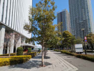 v20250905150805/fresh/building/J00100403743_50