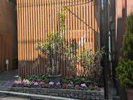 v20250905150805/fresh/building/J00100407996_7