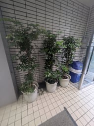 v20250905150805/fresh/building/J00100411495_15