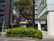 v20250909150707/fresh/building/J00100414231_17